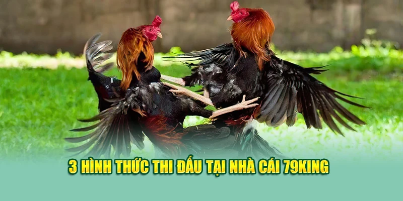 3 hình thức thi đấu tại nhà cái 79King
