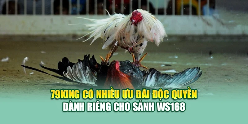 79King có nhiều ưu đãi độc quyền dành riêng cho sảnh WS168